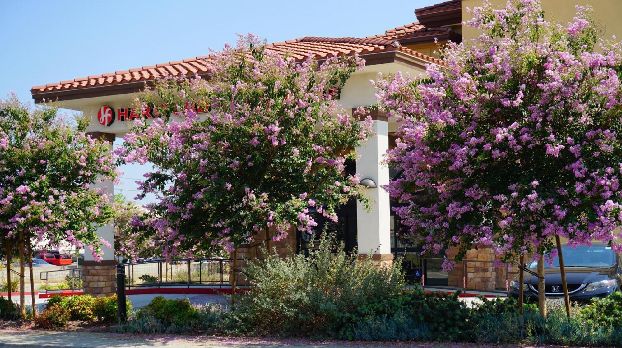 Hartford Hotel Best Western Signature Collection Rosemead Εξωτερικό φωτογραφία
